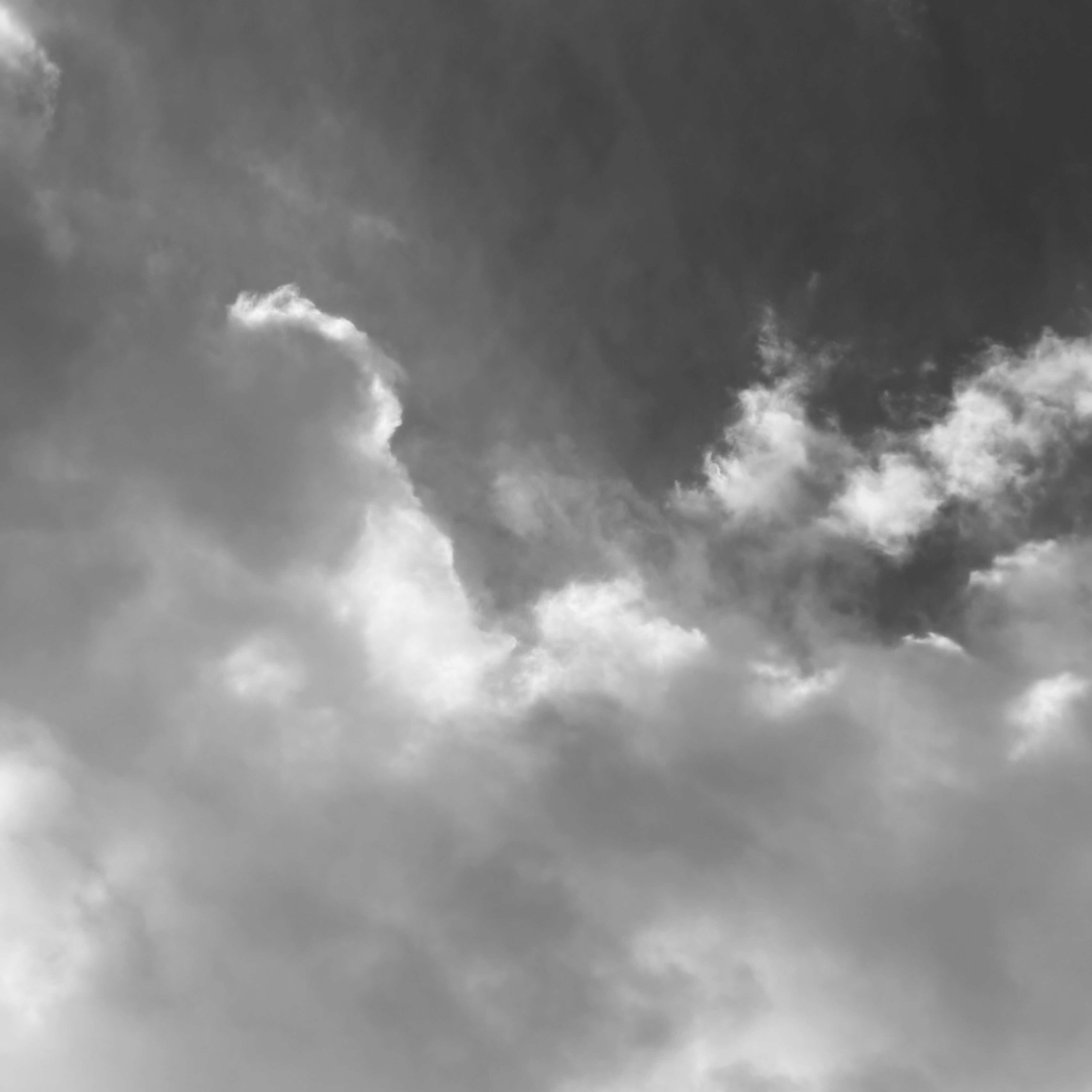IMG_8474
